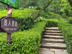 -北京张裕爱斐堡酒庄