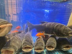 -味钱塘·钱塘浙宴(宋城之江银泰店)