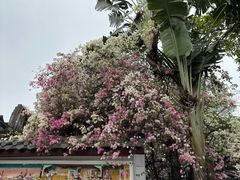 -深圳国际园林花卉博览园