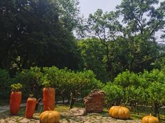 -广州市白云山风景名胜区