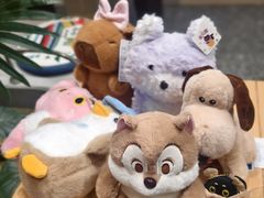 -可爱抓 COCO  GOTCHA(天津鹏欣水游城店)