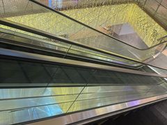 -瑞尔齿科(上海长风大悦城店)