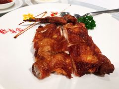 -詠春园
