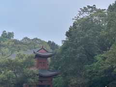 -李小龙乐园(顺德均安店)