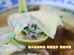 荠菜鲜肉大馄饨-方老大馄饨(抚宁巷店)