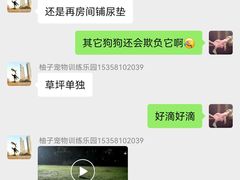 -柚子宠物(伊珊娜调理店)