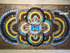 -上海昆虫博物馆