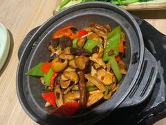 杂菌一品煲-缘生态云南菜·野生菌庭院餐厅(华侨城店)