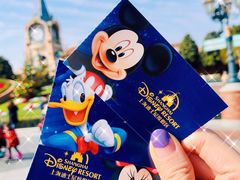 -上海迪士尼度假区