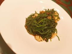 果仁爱沙葱-九十九顶毡房(阜石路店)