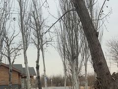 -马家湾湿地公园