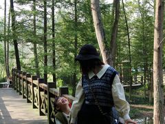 -桤木河湿地公园