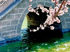 -碑林公园