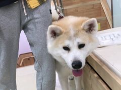 -宠福鑫康馨动物医院·骨科·眼科