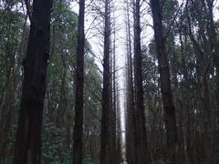 -同里国家湿地公园