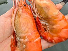 -徐岛主·特色农家乐(阳澄湖莲花岛店)