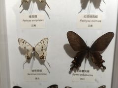 -中国湿地博物馆