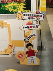 -乐高授权专卖店(浦东嘉里城店)