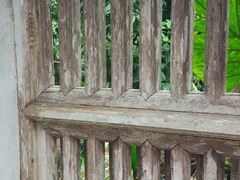 -东寨港红树林旅游区