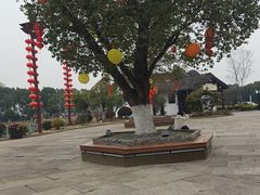 -丝绸小镇荻港古村
