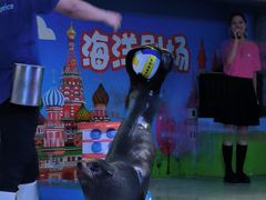 -成都浩海立方海洋公园