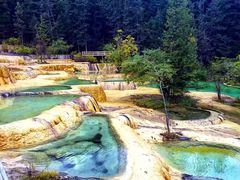 -黄龙山原始森林景区