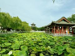 -济南大明湖景区