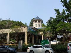 -东莞市大岭山森林公园