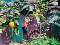 -三鹰之森吉卜力美术馆