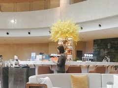 -Plush大堂酒廊(北京金融街威斯汀大酒店)