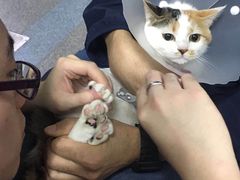 -美联众合动物医院·24h京西诊疗中心