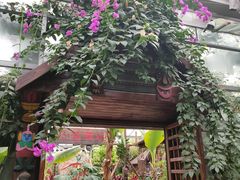-呀路古热带植物园