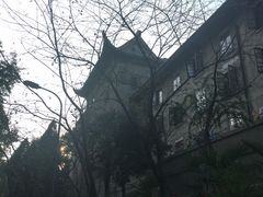 -武汉大学-樱园