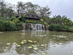 -中国科学院西双版纳热带植物园