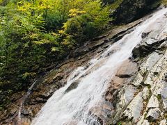 -青峰峡国家森林公园