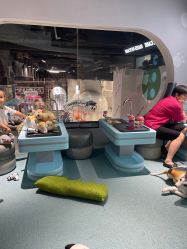 -MINI MARS KIDS CLUB亲子家庭中心(长宁天山店)