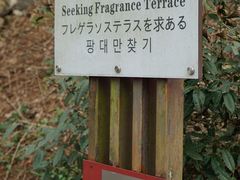 -四明山国家森林公园