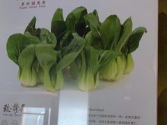 -番食园鲜食火锅(高新店)