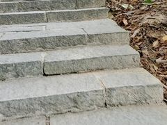 -火炉山森林公园