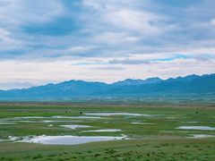 -祁连山草原