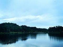 -海南热带雨林国家公园吊罗山景区