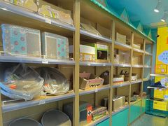 -龟与熊猫宠物公园(南坪店)