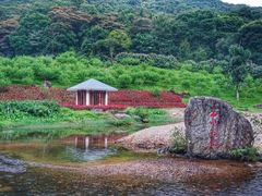 -广州市石门国家森林公园