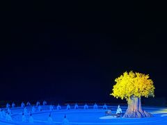 -鼎盛王朝康熙大典实景演出