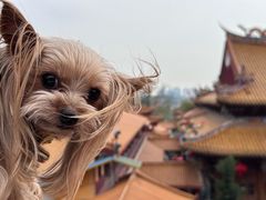 -梵天禅寺