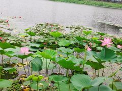 -长春市南湖公园