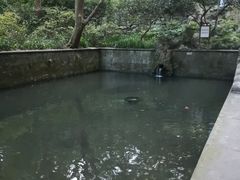 -宋宴(虎跑店)