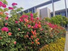 -无锡市市民中心