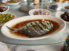 -小六农家乐(崇明西沙湿地店)