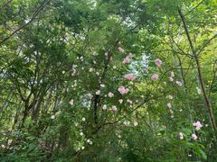 -南山风景名胜区